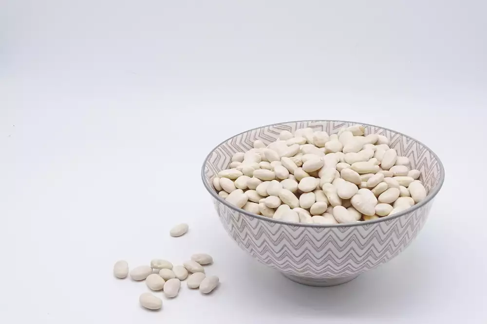 Bulk Protein