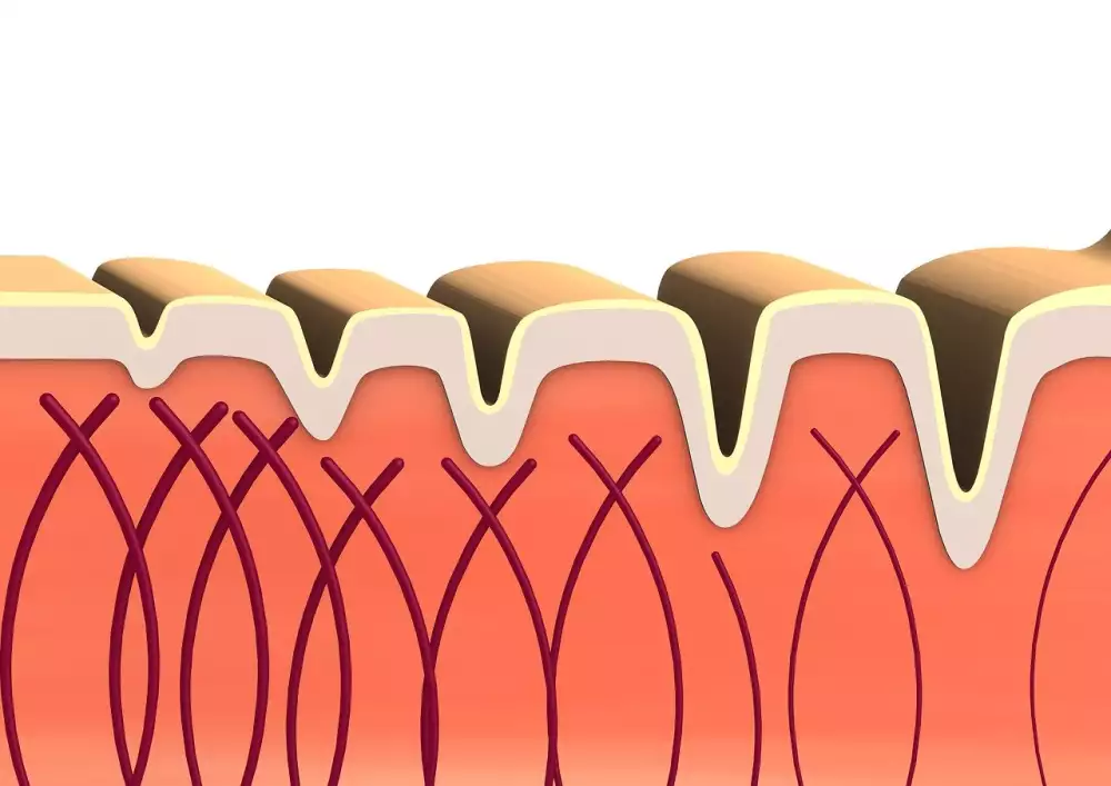 Verisol Collagen